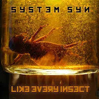 System Syn — Self Immolation — обложка